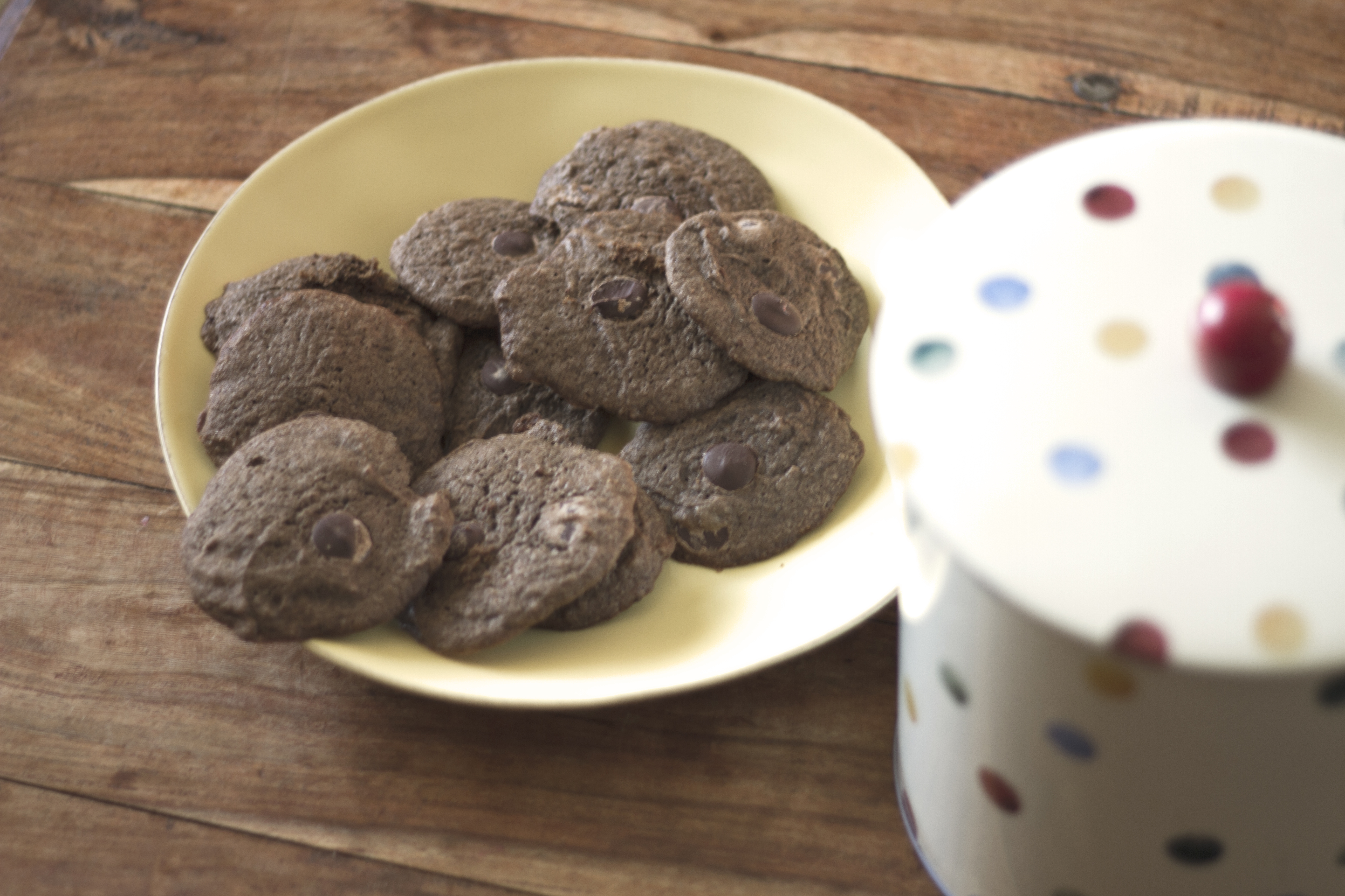 Chewy Choco-Chip Cookies